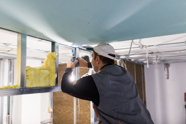 Best Spray Foam Insulation  in Streamwood, IL